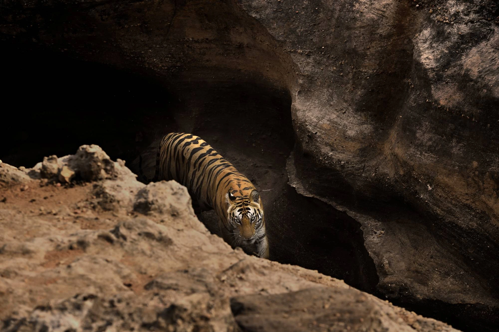 Bandhavgarh Caves