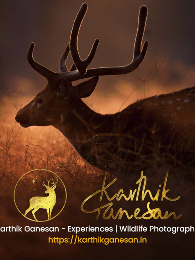 Karthik Ganesan – Fine Art Photography